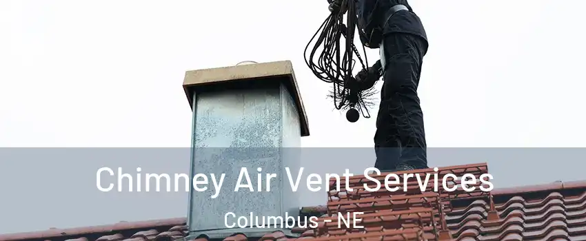  Chimney Air Vent Services Columbus - NE