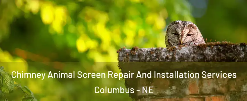  Chimney Animal Screen Repair And Installation Services Columbus - NE
