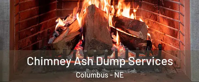  Chimney Ash Dump Services Columbus - NE