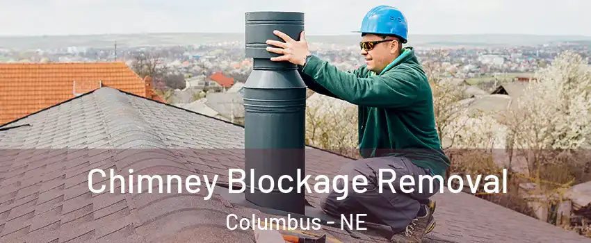  Chimney Blockage Removal Columbus - NE