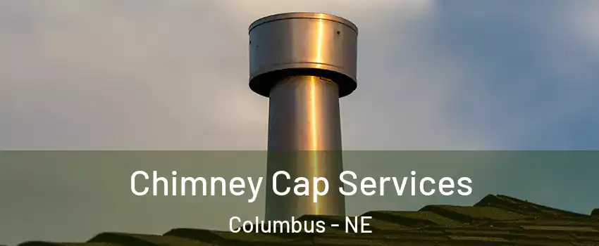  Chimney Cap Services Columbus - NE