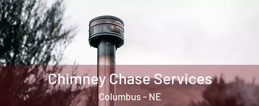  Chimney Chase Services Columbus - NE