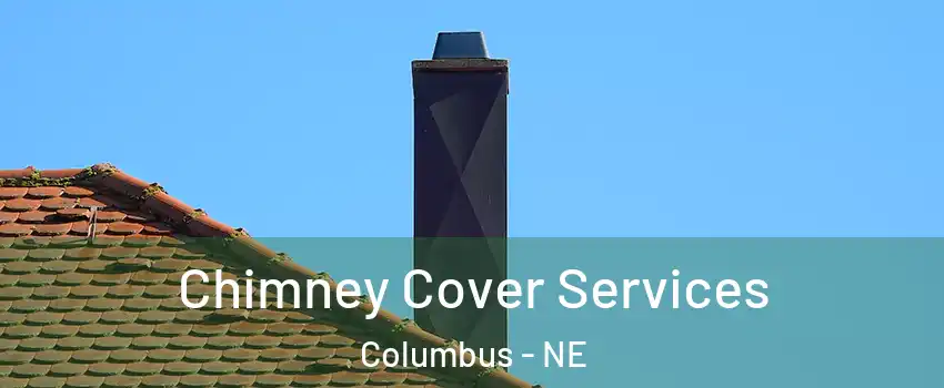  Chimney Cover Services Columbus - NE