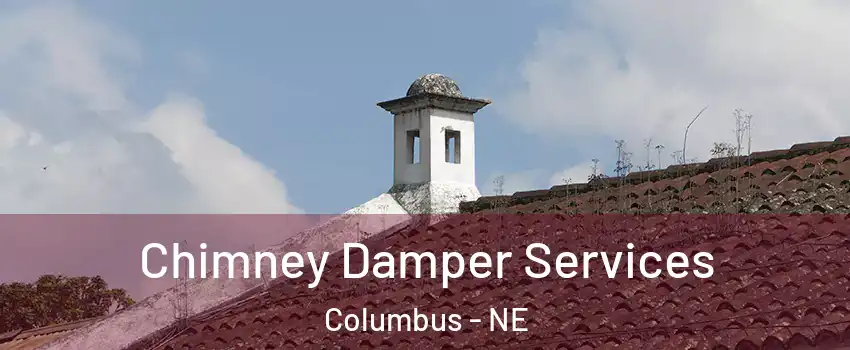  Chimney Damper Services Columbus - NE