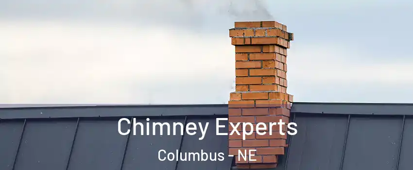  Chimney Experts Columbus - NE