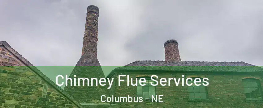  Chimney Flue Services Columbus - NE