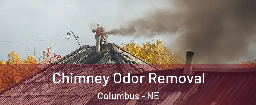  Chimney Odor Removal Columbus - NE