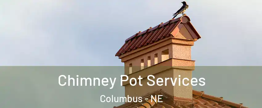  Chimney Pot Services Columbus - NE