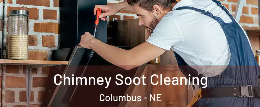  Chimney Soot Cleaning Columbus - NE