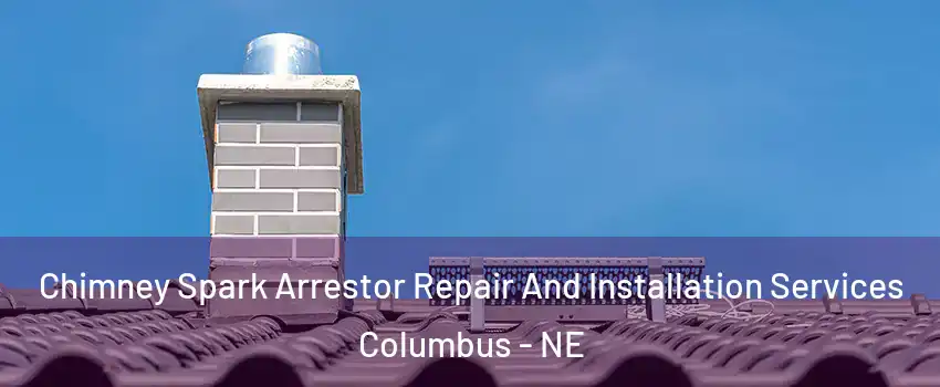  Chimney Spark Arrestor Repair And Installation Services Columbus - NE