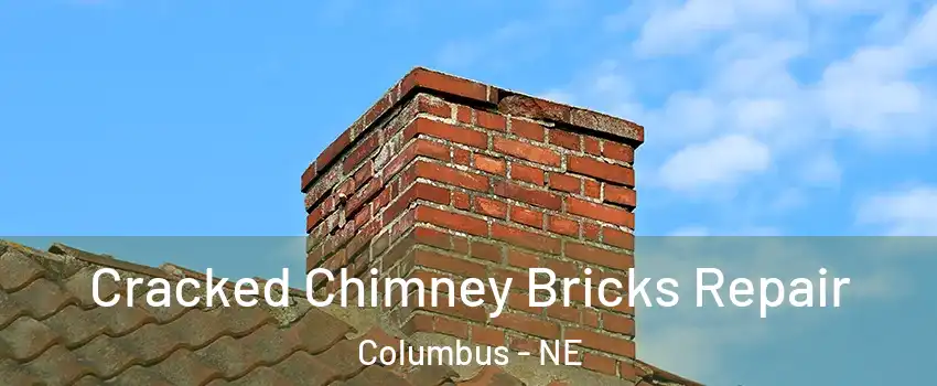  Cracked Chimney Bricks Repair Columbus - NE