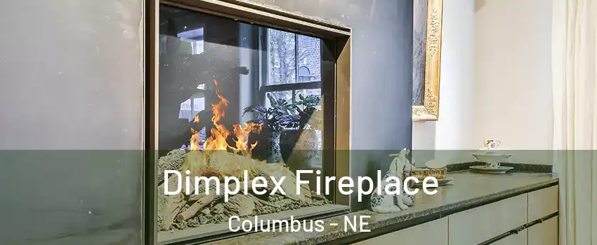  Dimplex Fireplace Columbus - NE