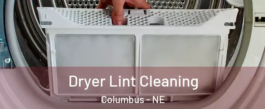  Dryer Lint Cleaning Columbus - NE