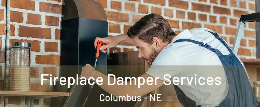 Fireplace Damper Services Columbus - NE