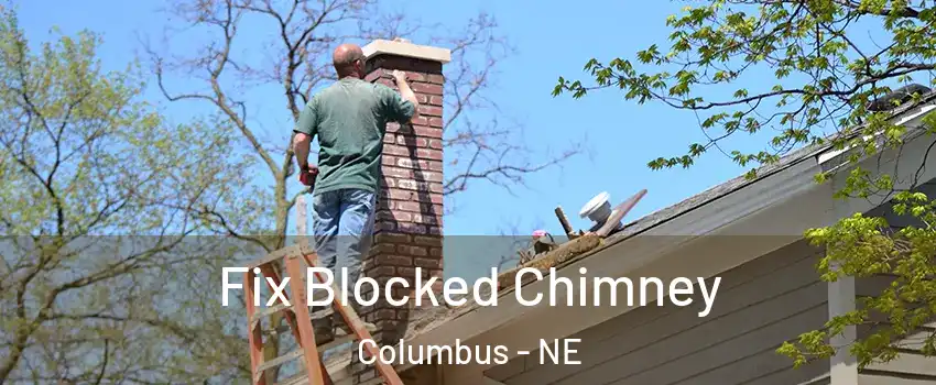  Fix Blocked Chimney Columbus - NE