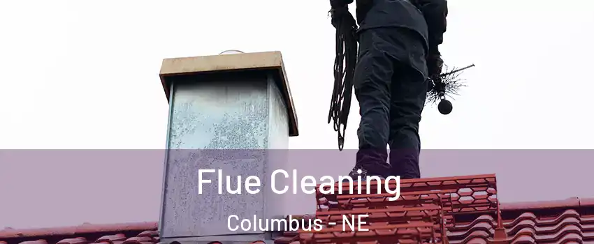  Flue Cleaning Columbus - NE