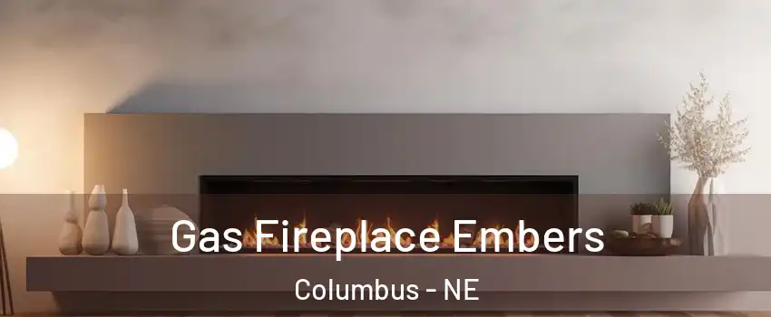  Gas Fireplace Embers Columbus - NE