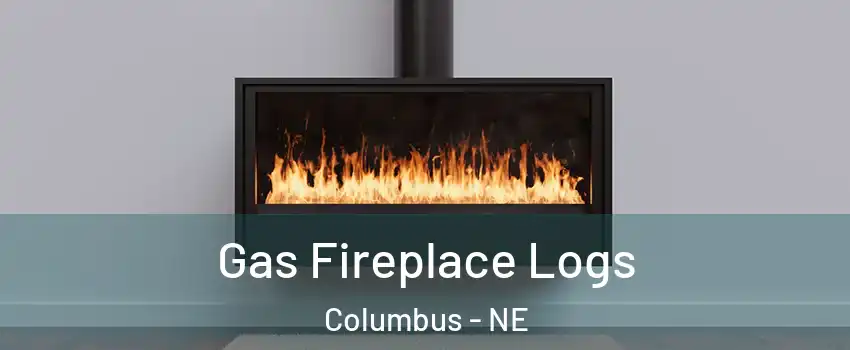  Gas Fireplace Logs Columbus - NE