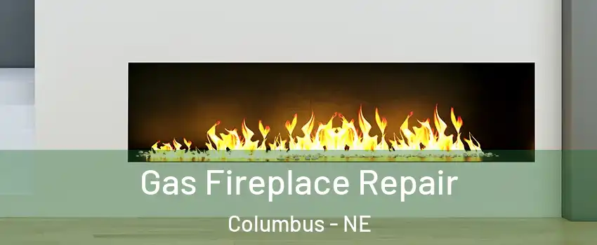  Gas Fireplace Repair Columbus - NE