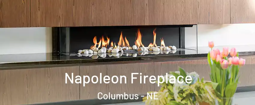 Napoleon Fireplace Columbus - NE
