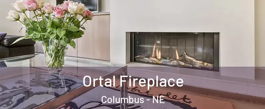  Ortal Fireplace Columbus - NE